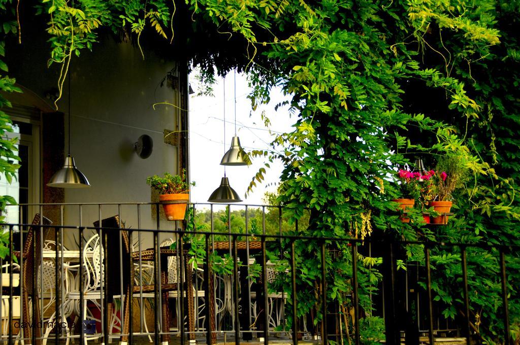 Eljas Almazara De San Pedro (Adults Only)旅馆 外观 照片