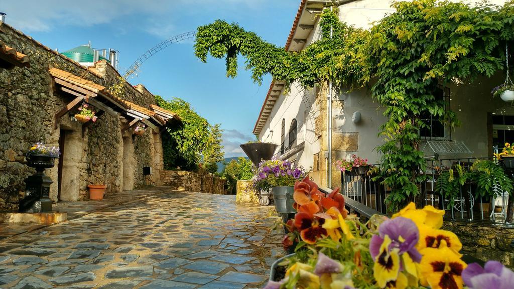 Eljas Almazara De San Pedro (Adults Only)旅馆 外观 照片