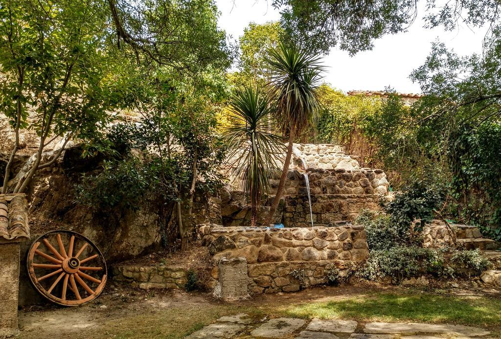 Eljas Almazara De San Pedro (Adults Only)旅馆 外观 照片