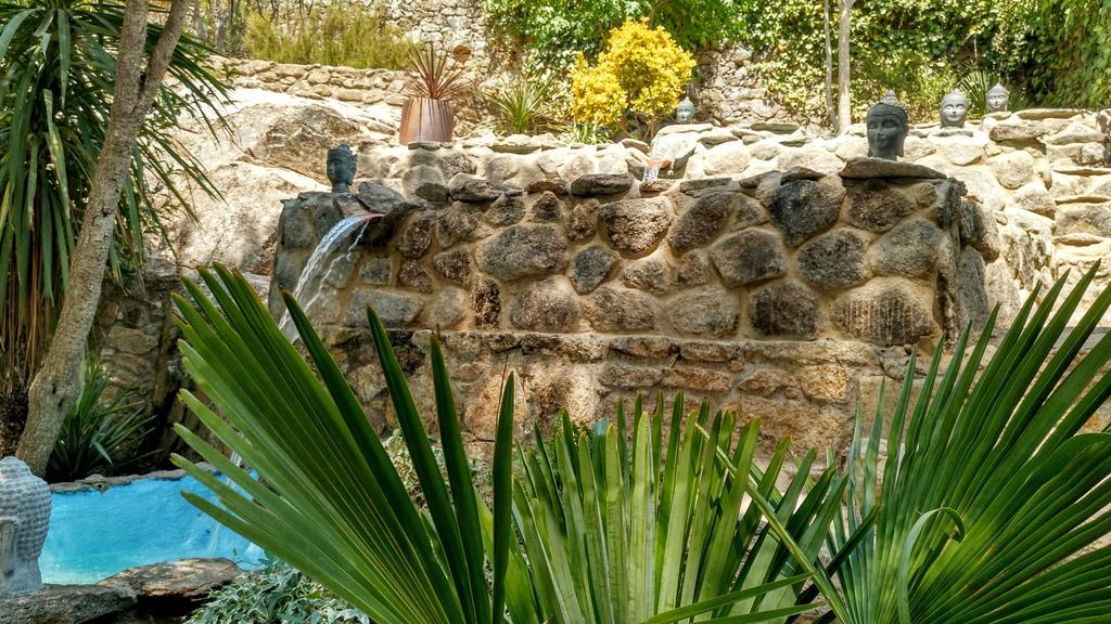 Eljas Almazara De San Pedro (Adults Only)旅馆 外观 照片
